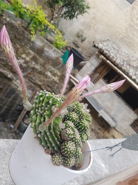 La Bomboniera Holiday Home Matera Dış mekan fotoğraf