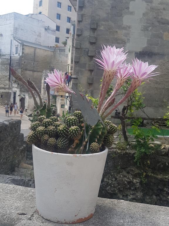 La Bomboniera Holiday Home Matera Dış mekan fotoğraf
